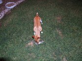 Enlarge photo 3
