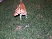 Enlarge photo 4