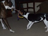 Enlarge photo 12