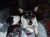 Enlarge photo 15