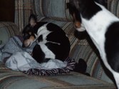 Enlarge photo 24