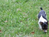 Enlarge photo 38