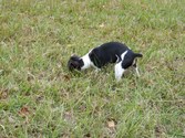 Enlarge photo 48