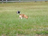 Enlarge photo 12
