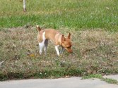 Enlarge photo 14