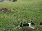 Enlarge photo 18