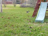 Enlarge photo 19