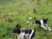 Enlarge photo 22