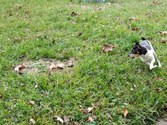 Enlarge photo 24