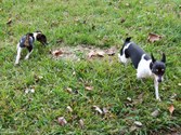 Enlarge photo 25