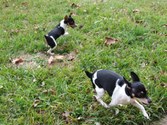 Enlarge photo 26