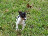 Enlarge photo 27