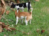 Enlarge photo 28