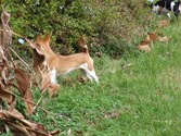 Enlarge photo 29