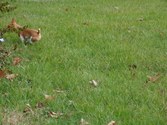 Enlarge photo 33