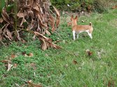 Enlarge photo 35