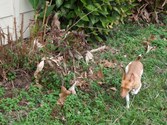 Enlarge photo 36