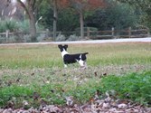 Enlarge photo 7