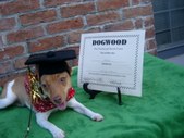 Amber's Beyond Basic Graduation