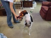 Bree's first birthday