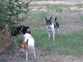 Enlarge photo 8