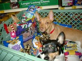 Playing Secret Santa in 2006