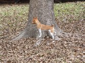 Enlarge photo 4