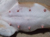 Enlarge photo 14