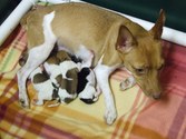 Newborns