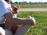Enlarge photo 5