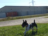 Enlarge photo 13