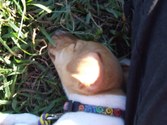 Enlarge photo 18