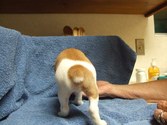 Enlarge photo 8