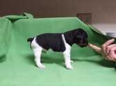 Four Weeks Old