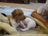 Enlarge photo 15