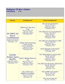 Enlarge HTML Document 2