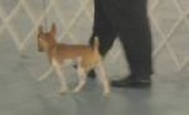 Enlarge photo 89