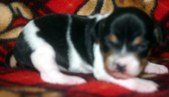 Enlarge photo 53