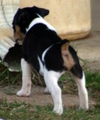 Enlarge photo 44