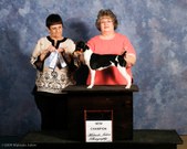 Enlarge photo 9