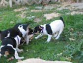 Enlarge photo 34