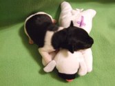 Enlarge photo 48