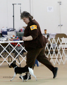 Enlarge photo 21