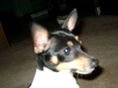 Enlarge photo 23