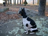 Enlarge photo 14