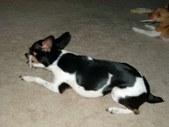 Enlarge photo 22