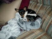 Enlarge photo 21