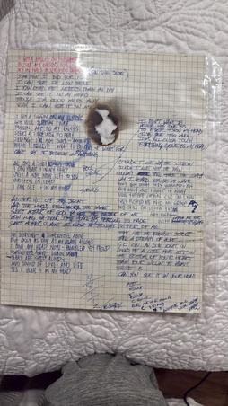 Enlarge photo 24