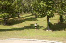 Enlarge photo 131