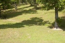 Enlarge photo 132